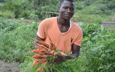 Au Ghana, producteurs et consommateurs font avancer l’agriculture biologique