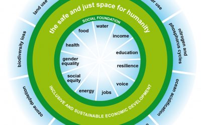 Planetary boundaries and the great transition