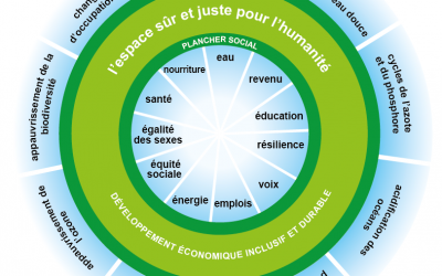 Des limites planétaires à la grande transition