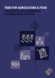 TEEBAgFood foundation report