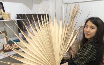 In Indonesia, Home Decoration is more prepared than Home Textiles for exports to Europe (CBI)