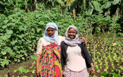 Comoros: developing export and food value chains